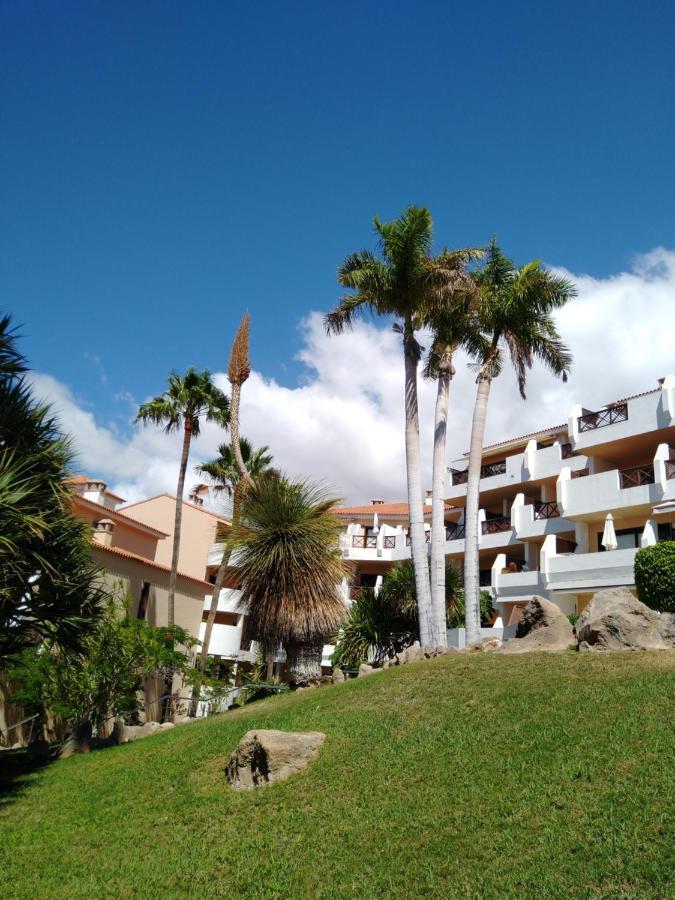 Forest Flat - Big Heated Pool, Terrace, Tv Channels, Golf Courses San Miguel de Abona Exterior photo